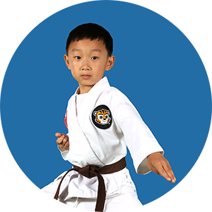ATA Martial Arts Inspired ATA Martial Arts Karate for Kids